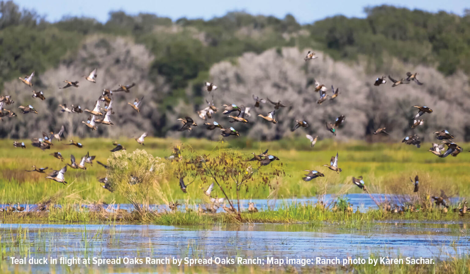 Spread Oaks Ranch Explore the Coastal Prairie – Explore the Coastal Prairie