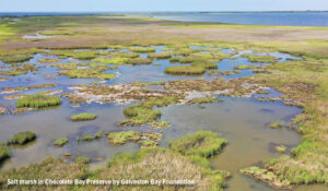 Photo of a salt marsh complex along the Gulf Coast near Galveston in the Chocolate Bay Preserve