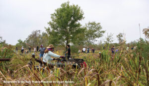 Volunteers in the Katy Prairie Preserve, the Coastal Prairie Conservancy's signature preserve northwest of Houston Texas.