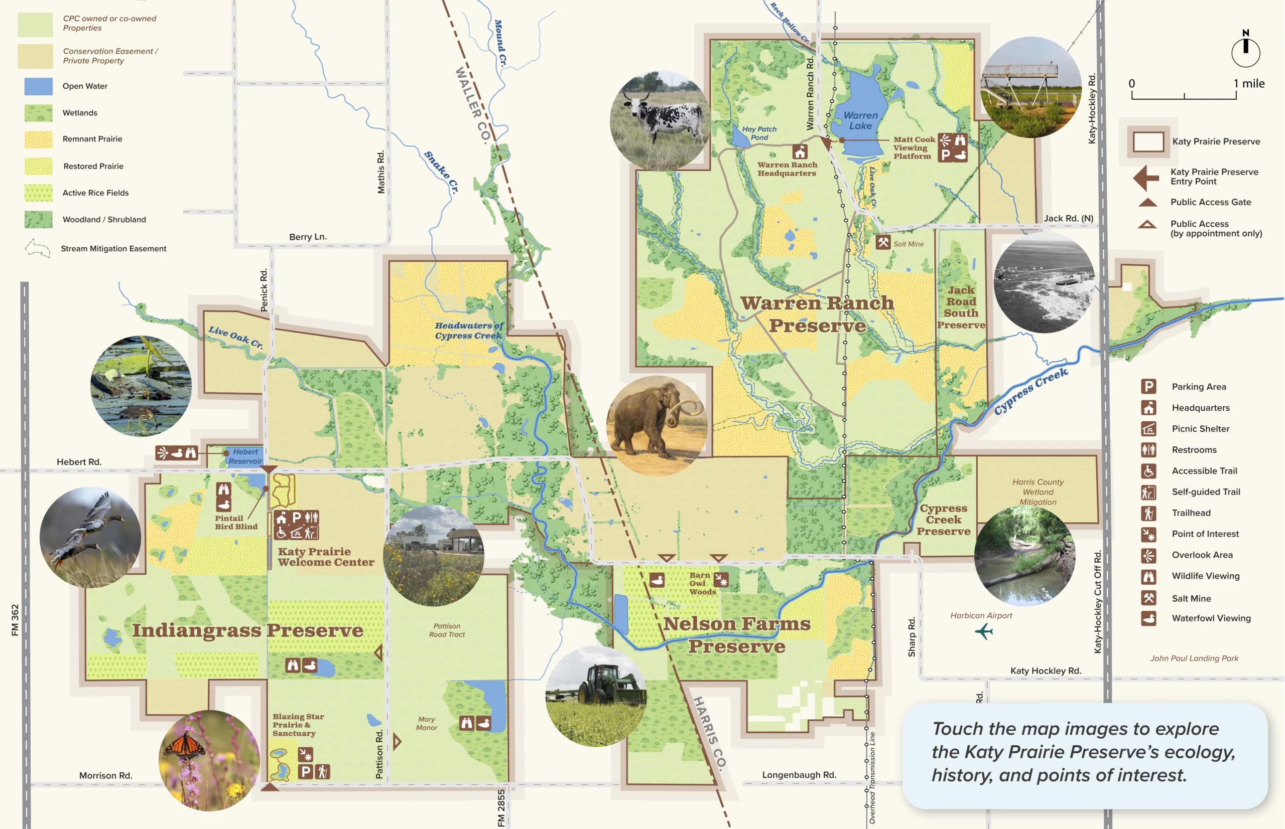 Welcome to the Katy Prairie!